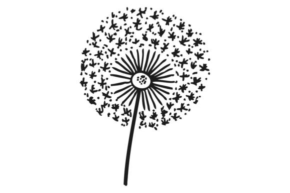 The Dandelion in Black Ink Drawing: More Than Just a Floral D